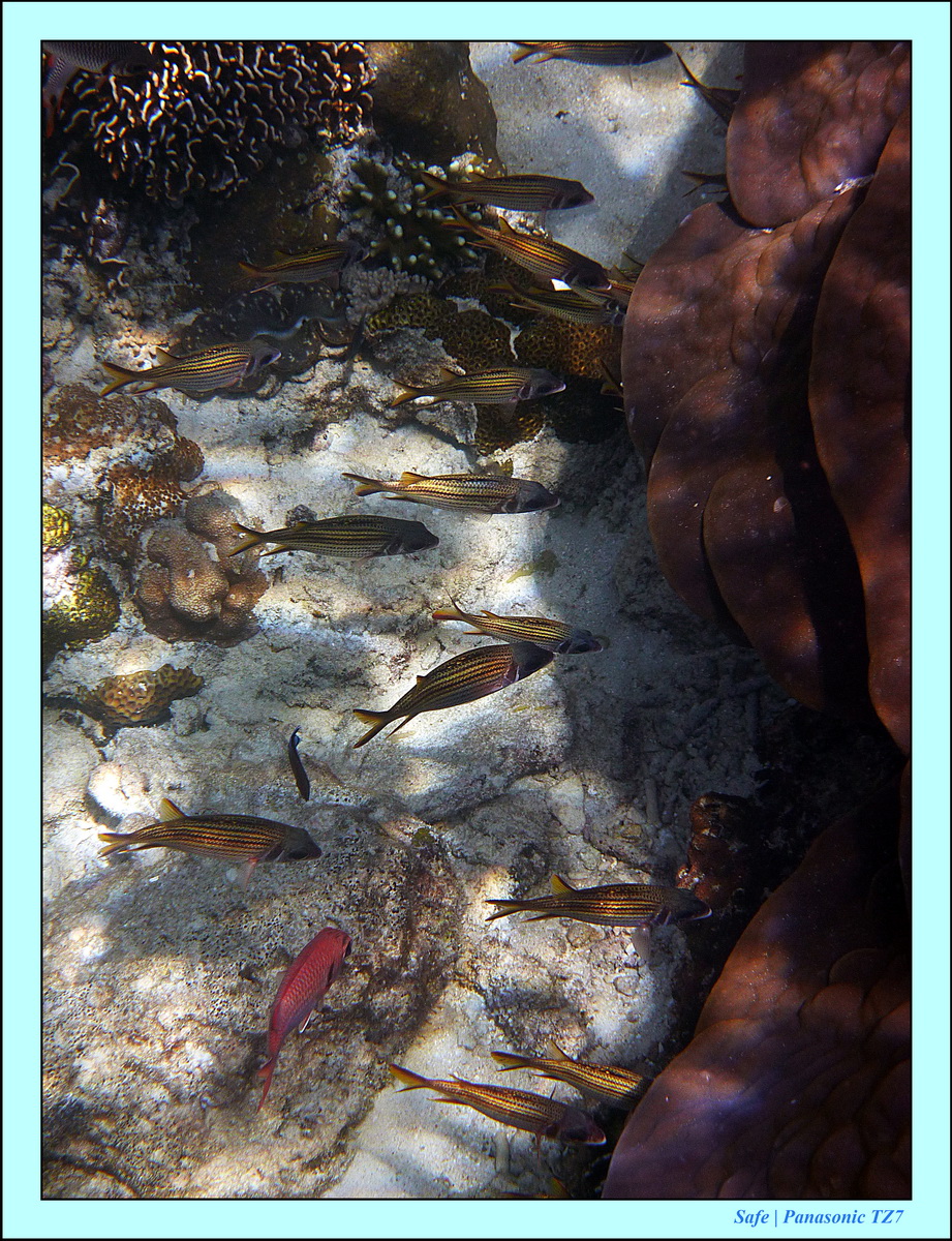 2012 - 07 - Gili - 87